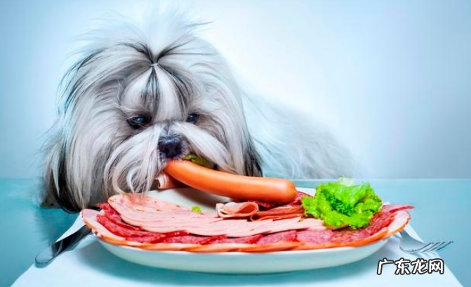 狗狗流泪的原因不可是触动，也是有这好多个层面，早发现早治疗