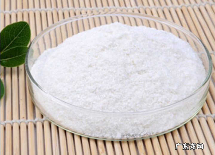 治一岁金毛狗狗腿瘸的药有没有