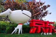 京东拍错了退款可以退优惠券吗？