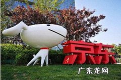 京东白条可以购买什么商品？优惠券怎么使用？