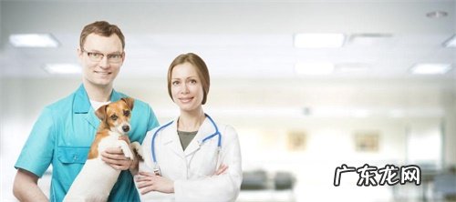 小狗受伤了，是不是过几天就能好起来