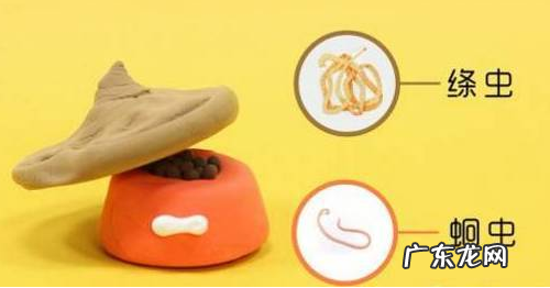 小狗隔三差五拉肚子