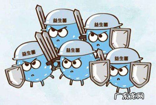 小狗隔三差五拉肚子