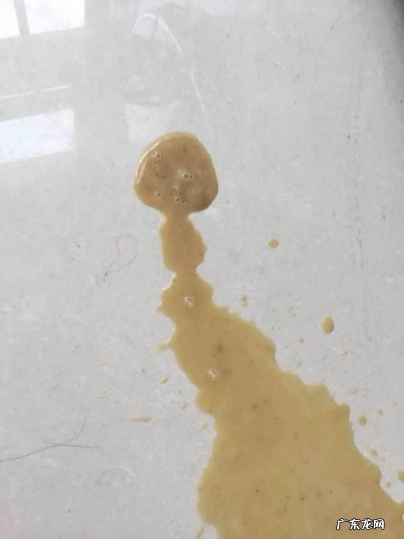 狗狗吐了应该怎么办?这一份恶心干呕情况合集