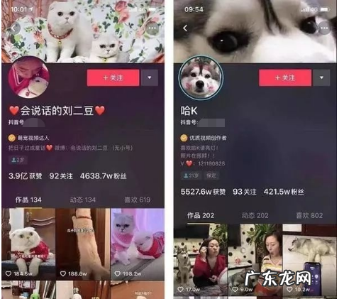 抖音背景图片怎么弄?要怎么设置?