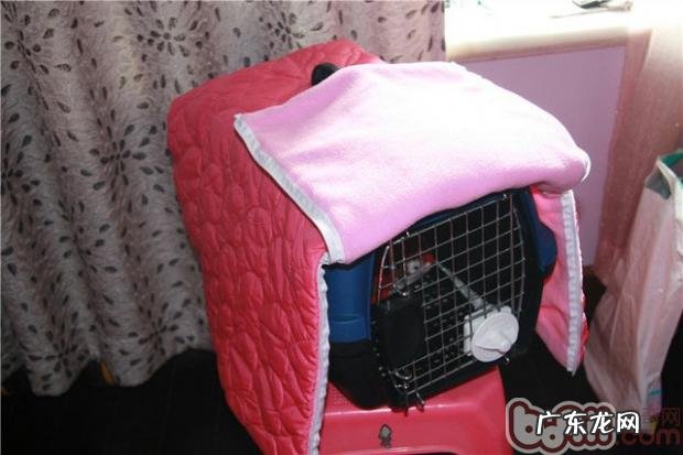 了解小宠物航空箱