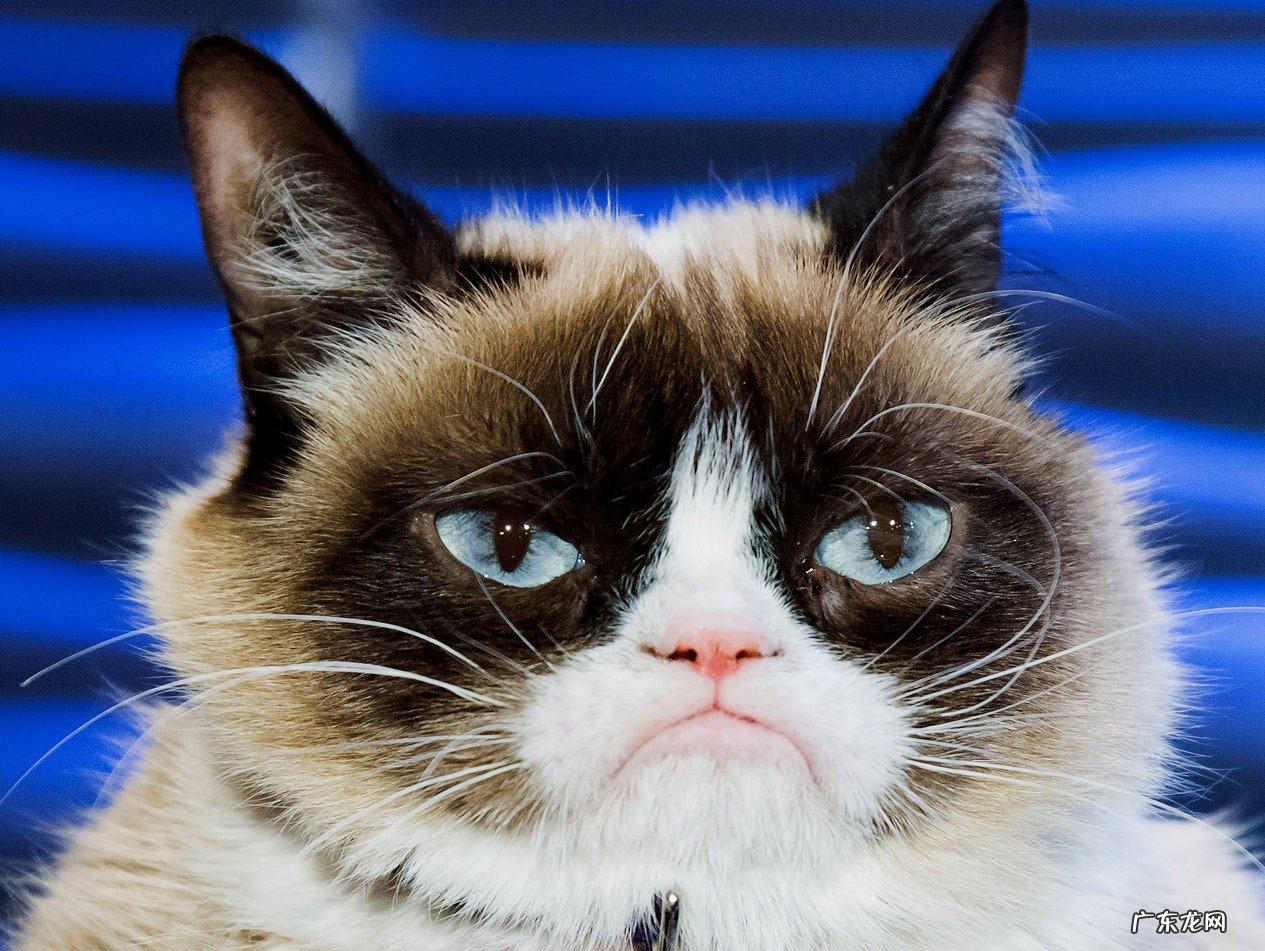 每天晚饭后快走一小时半月才减掉6斤，还有啥好办法