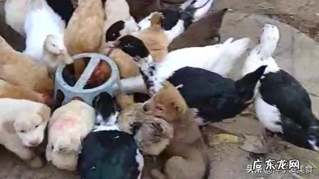 疫情还没结束，你现在感觉怎么样