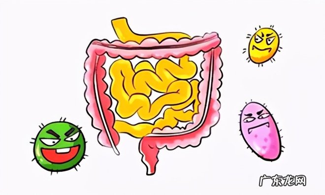 酵素果冻怎么吃才是正确的?吃完会有什么反应?