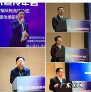 word哥什么意思 word哥