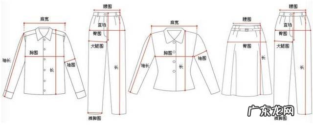 衣服尺码对照表 l号是多大尺码