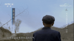 张爷爷空心面怎么样？怎么做好吃？