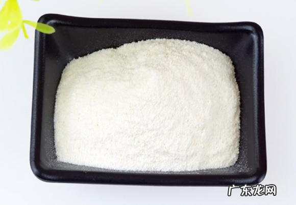 小泰迪口臭怎么办怎么解决