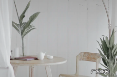 抖音认证服务商 抖音对实战辅助服务类目服务商管理规范进行调整抖音商品类目选择