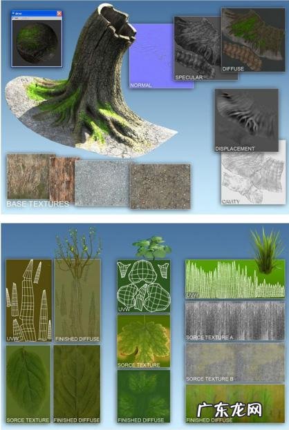 构思、制作全教程 品牌卡通形象怎么设计