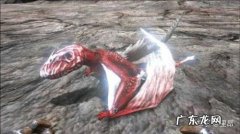 古神翼龙吃什么饲料驯服 古神翼龙吃什么饲料