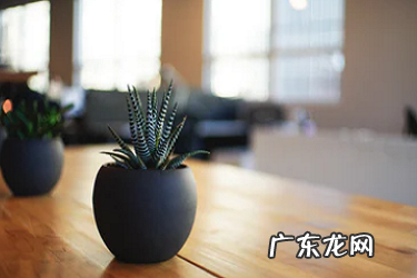 加入抖音MCN小心上当 抖音普通计划怎么加入橱窗?为何添加不了?怎么加入抖音pick计划