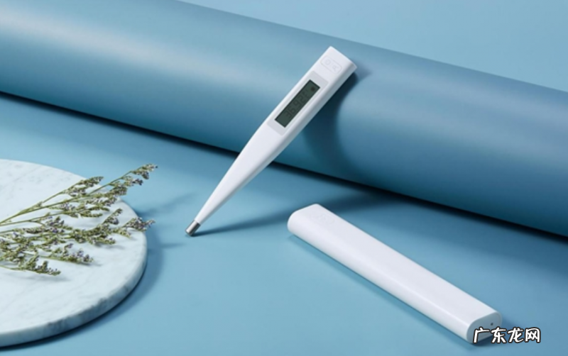 狗狗感冒发高烧是不是会肚子疼