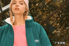 viishow是什么牌子？价格贵么？