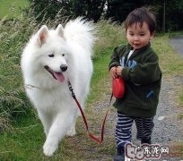 出门散散步如何给小狗系牵引绳