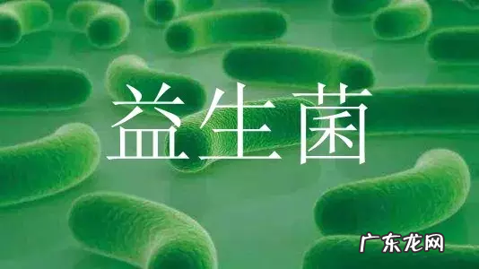 益生菌的正确食用方法 益生菌冻干粉怎么吃