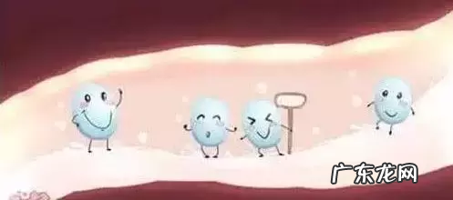 益生菌的正确食用方法 益生菌冻干粉怎么吃