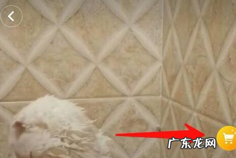 抖音淘宝购物车怎么设置？步骤是什么？