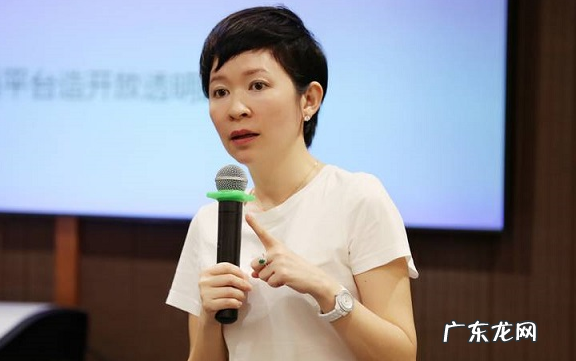 戴珊与阿里巴巴的22年 戴珊是谁?