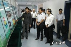 白金明日方舟值得练吗 白金明