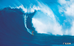 冲浪板品牌排行榜 冲浪品牌都有哪些