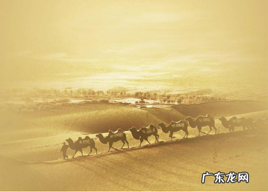 新丝绸之路经济带，谱写宁夏发展新篇章