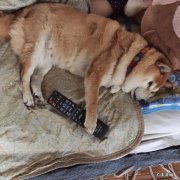 怎样喝水才能减肥时间表:怎样喝水减肥小技巧喝水一月减赘肉5斤