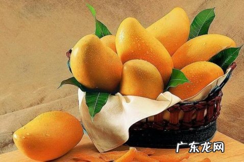 黄峥之前是干什么的?为什么能成功?