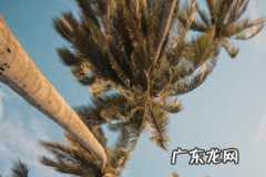 抖音小店必须要商标吗 抖音小店快递模板怎么设置？如何选择？抖音小店如何设置运费模板