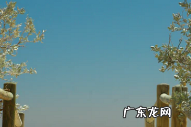 抖音小店可以不用营业执照 个人抖音小店需要营业执照吗?有哪些要求?抖音营业执照不是本人