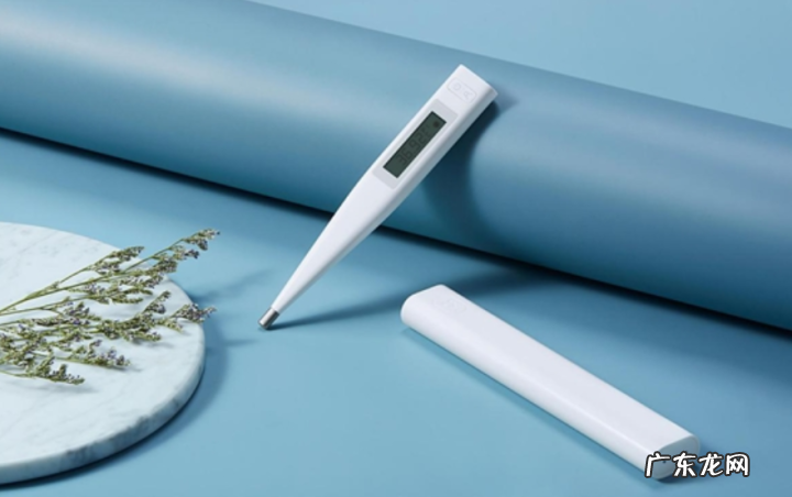 金毛狗狗感冒发烧吐了怎么办