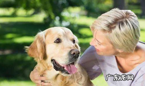 小狗狗“舔爪子”的七大原因，有可能是生病了，别熟视无睹