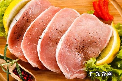 小狗狗伤口化脓了有点脓