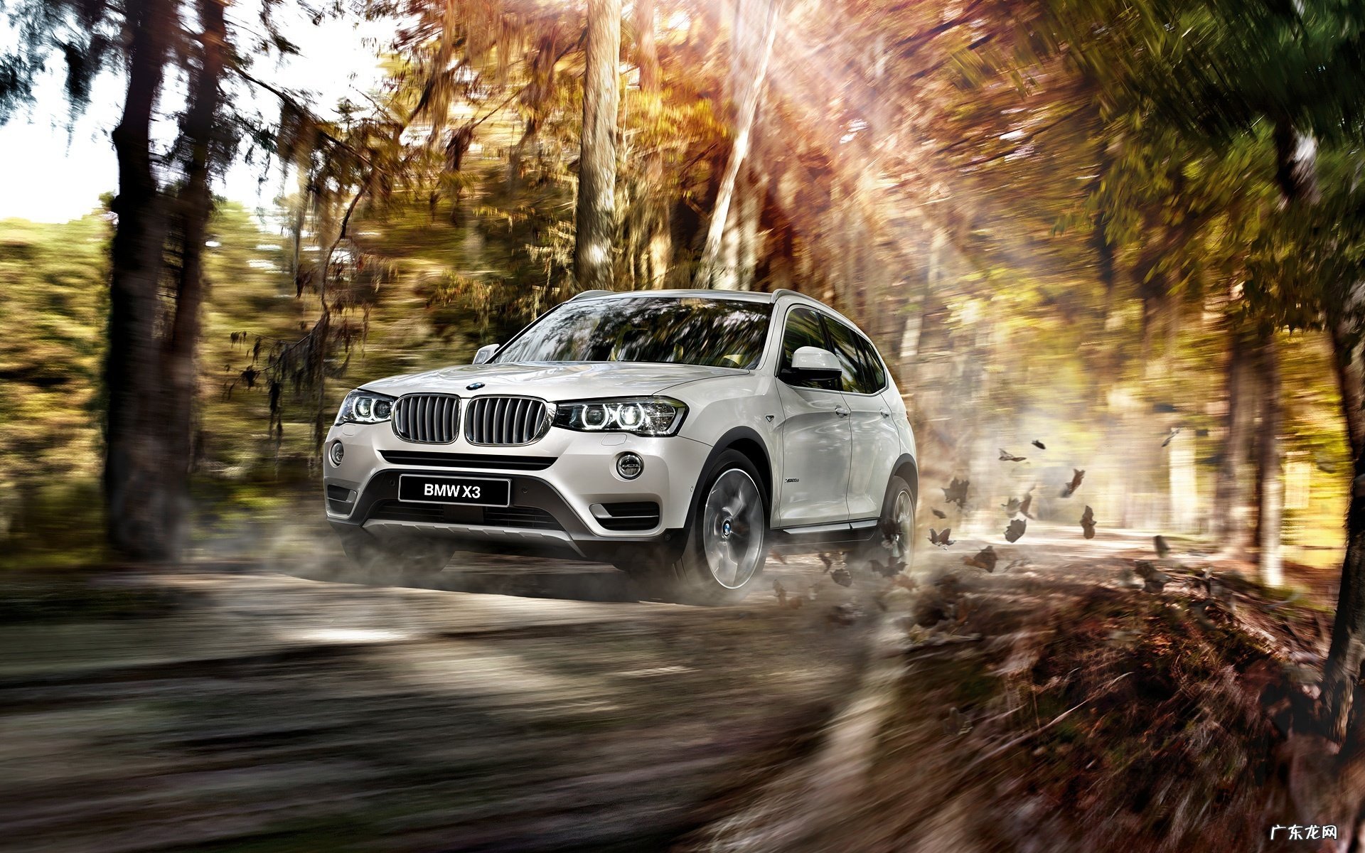 碧螺春怎么泡脚减肥:菊花和碧螺春能放在一起泡吗?