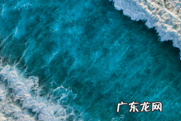 抖音小店品类资质是什么?有哪些相关问题?