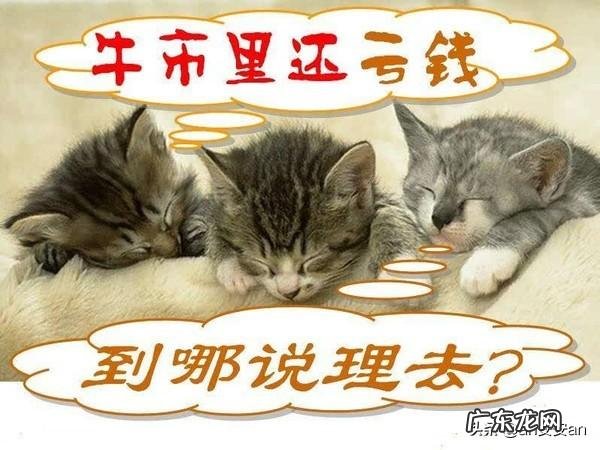 明天周四2020.11.5日股市怎么看?