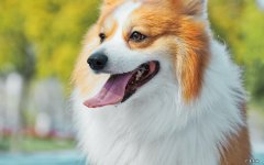 5岁儿童身高标准是多少？