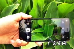 淘宝直播为什么进不去？黑屏是什么意思？