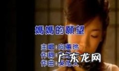 向蕙玲庄振凯的歌 向蕙玲