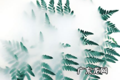 淘宝直播成长值怎么提升？如何做好直播？