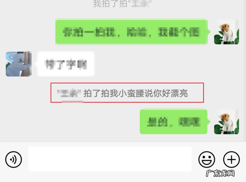 微信拍一拍的设置步骤 微信拍一拍功能怎么用设置文字