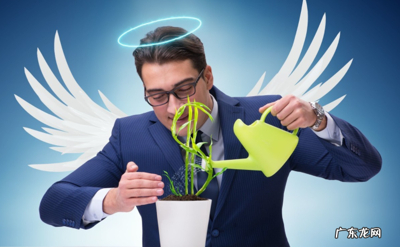 创业融资的渠道有哪些?详解6种创业融资渠道