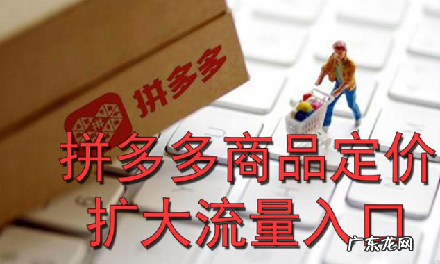 拼多多定价策略是什么(新品实用低价策略分析)