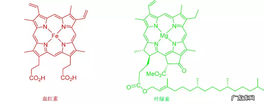 大麦青汁的作用与功效,能减肥吗?