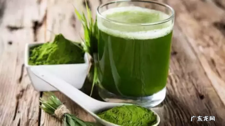 大麦青汁的作用与功效,能减肥吗?